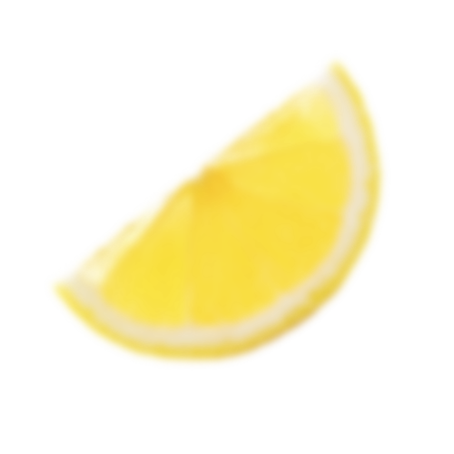 Extra Dry Gin fruit decoration