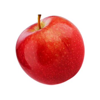 Apple Twisted Gin fruit focus