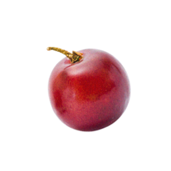 Grape Twisted Gin fruit focus