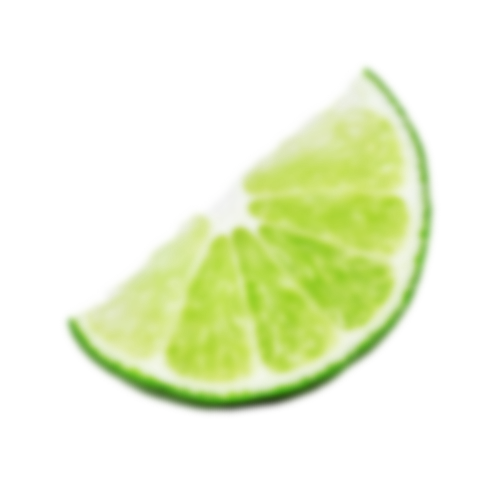 Lime Twisted Gin fruit decoration