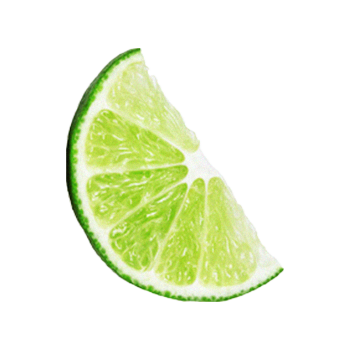 Lime Twisted Gin fruit focus