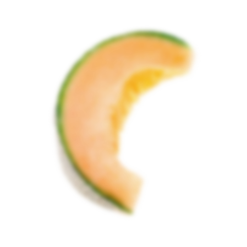 Melon Twisted Gin fruit decoration