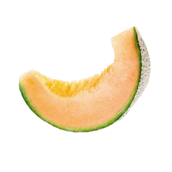 Melon Twisted Gin fruit focus