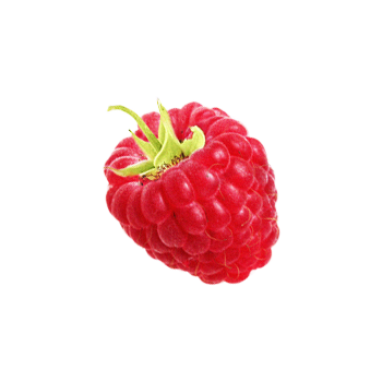 Red Berry Twisted Gin fruit focus