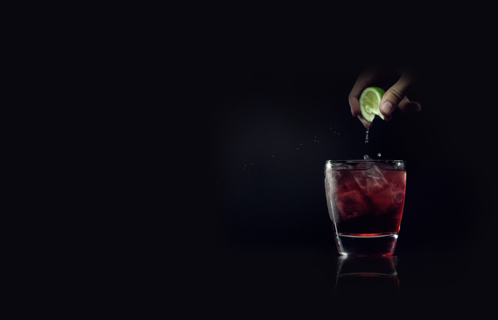 Berry Fly