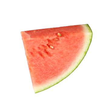 Watermelon Twisted Gin® fruit focus